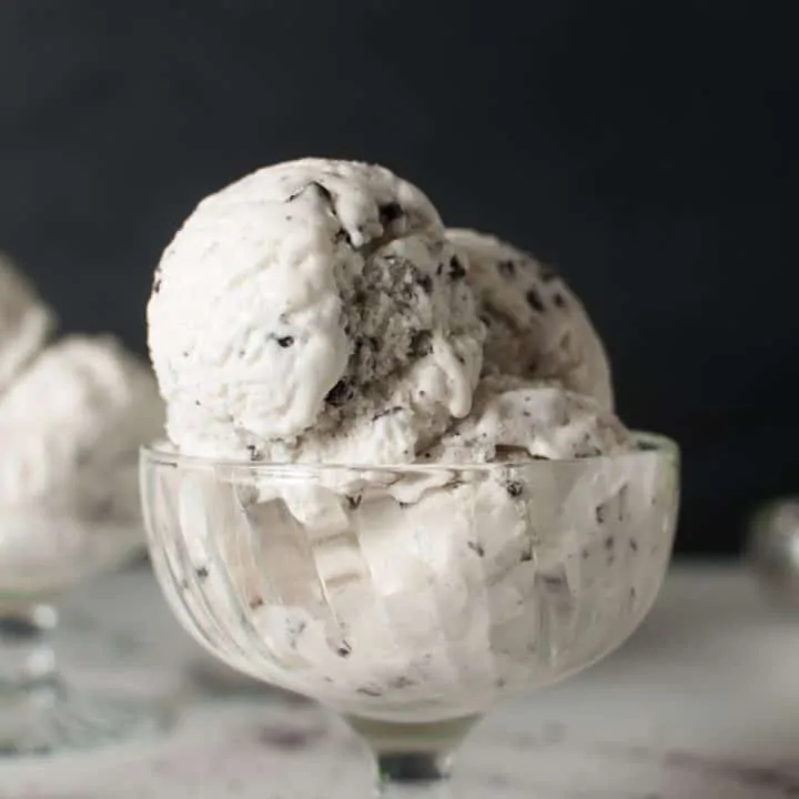 Keto Mint Chocolate Chip Ice Cream