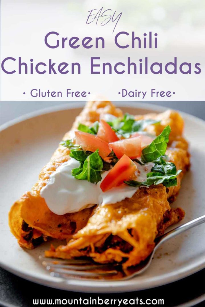 Gluten Free Chicken Enchiladas Includes Enchilada Sauce Recipe!